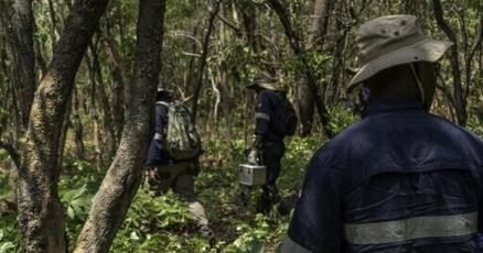 Miner KoBold bets on AI to gain edge in DR Congo mineral hunt
