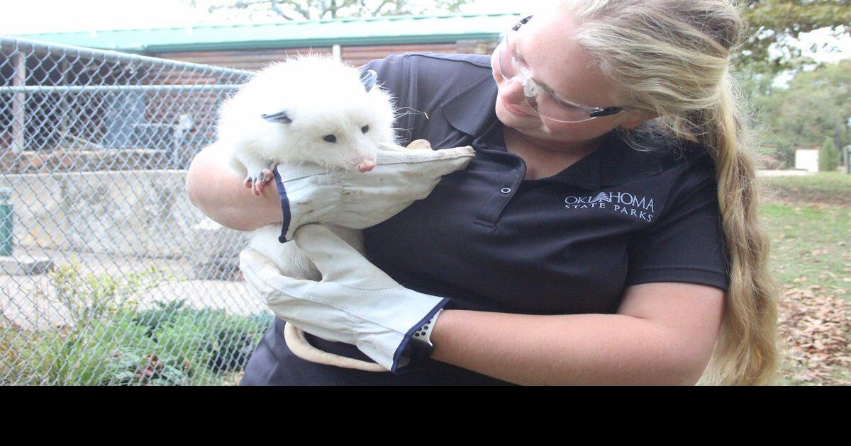 Rare white opossum joins other animals at Northeastern Oklahoma nature