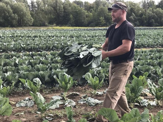 Kyle Seabert of Seabert Farms in Cambria with bundle of collard greens.