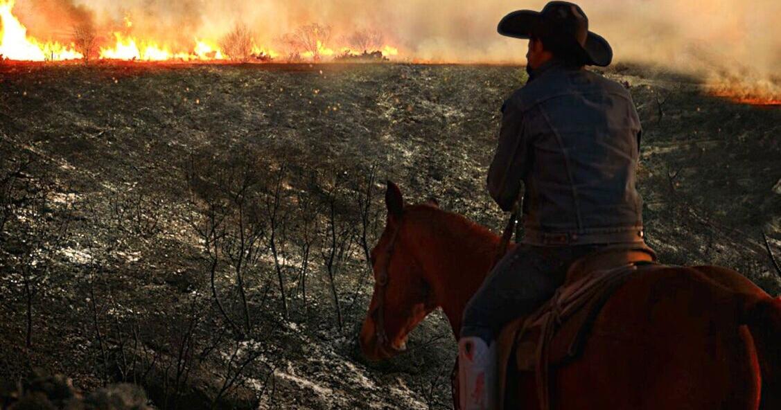 Entrepreneur helps in wake of Ross wildfire