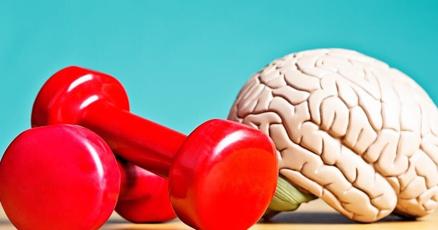 Your brain can be trained, much like your muscles - a neurologist explains how to boost your brain health