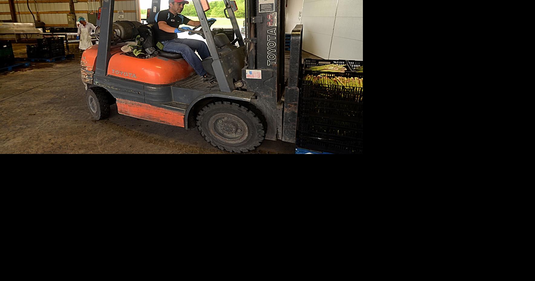 Farmers fear lag in worker visas will threaten crops News