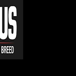 Stewart joins American Angus Association