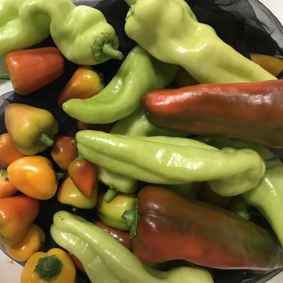 Wallpaper Peppers Perk Up A Garden Coastal Illustrated Coastal Columns For Free