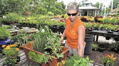 Container Gardening 101 With Ace Garden Center Coastal Illustrated Chfeature