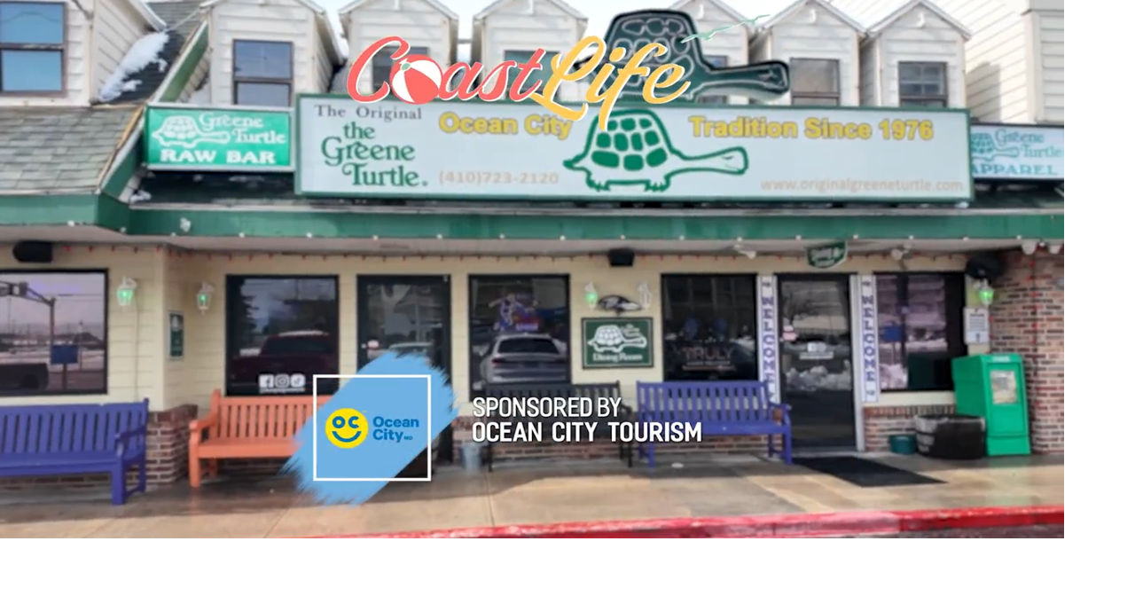 Celebrating 50 Years of the Original Greene Turtle | Your Life ...