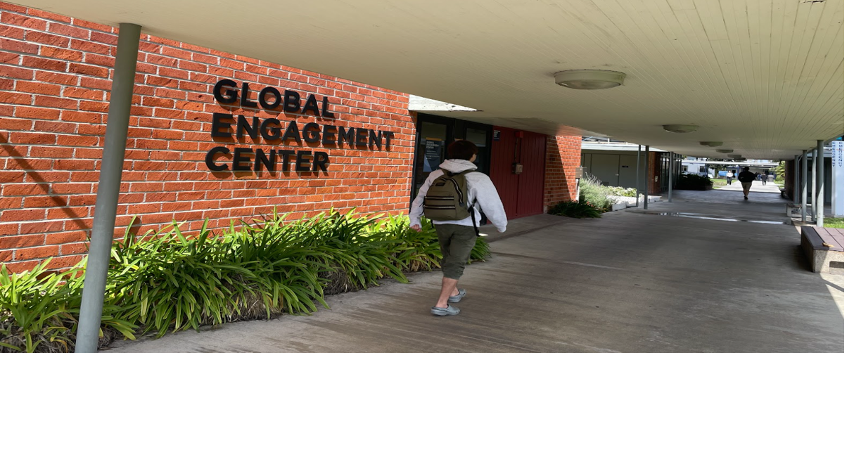 How OCC International students choose classes | Features ...