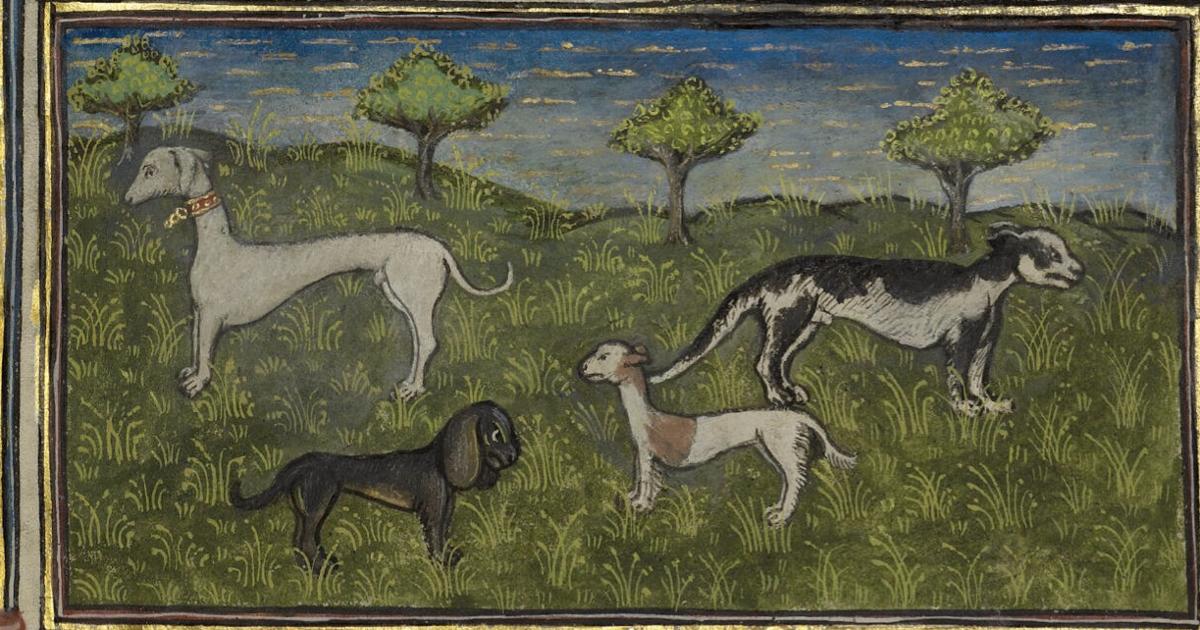 Shakespaw’s 'A Midsummer Day’s Nap'