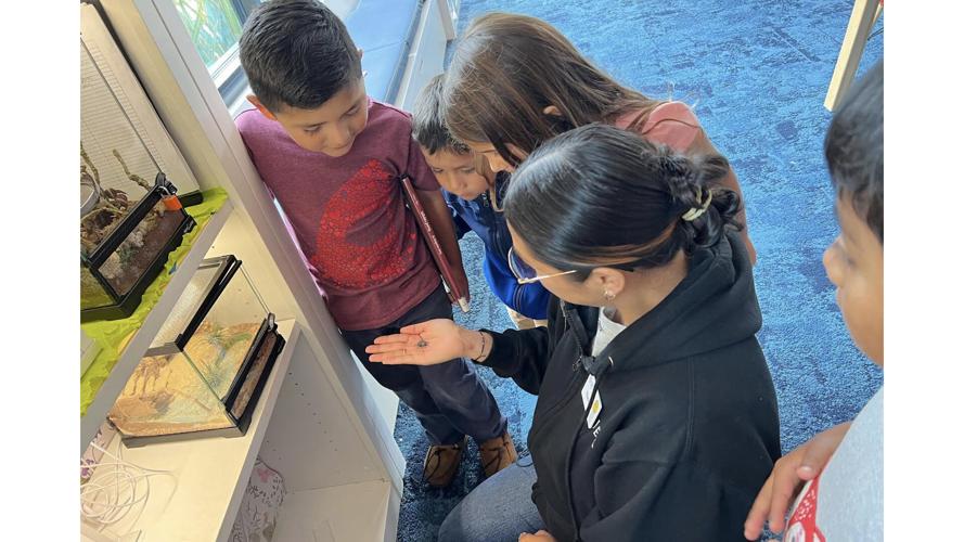 Libraries have bugs | Community | coastsidenews.com