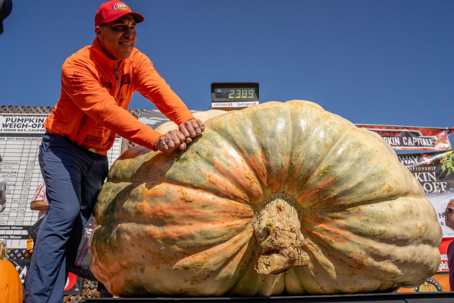 Travis Gienger Wins 53rd Safeway World Championship Pumpkin Weigh-Off