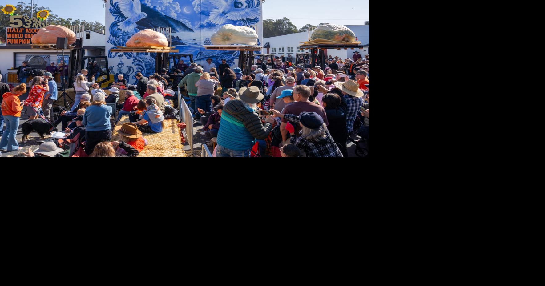 53rd annual pumpkin weigh-off sees familiar champions reclaim titles ...