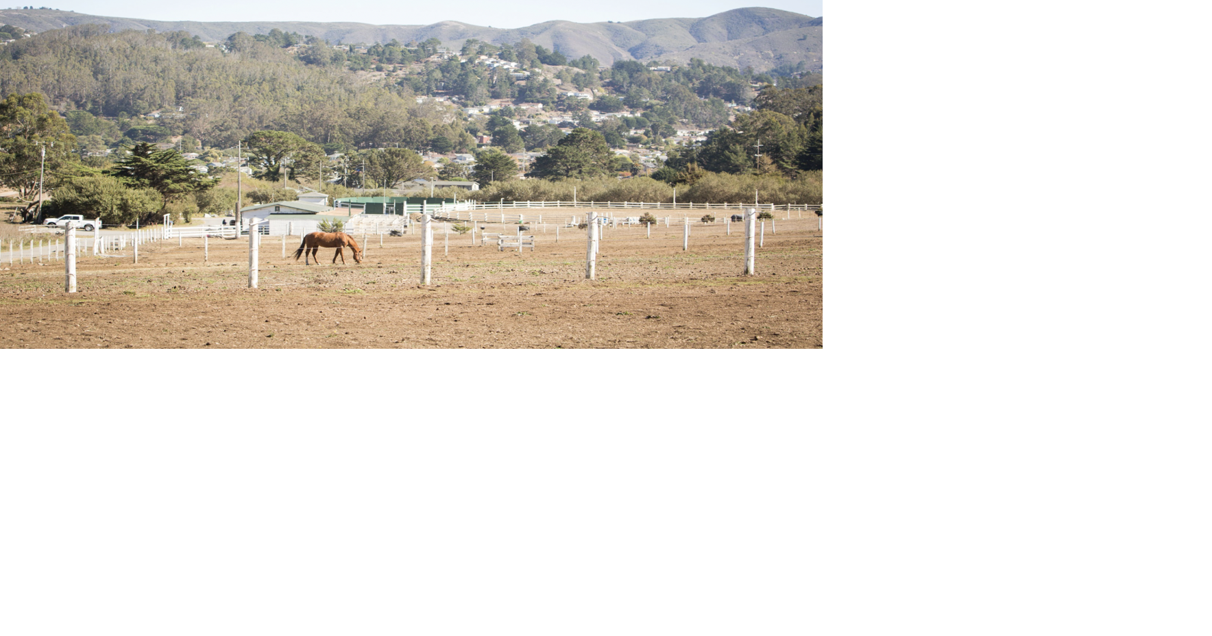 County says Shamrock Ranch housing development is not viable | News ...