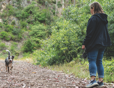 Off leash trail deals