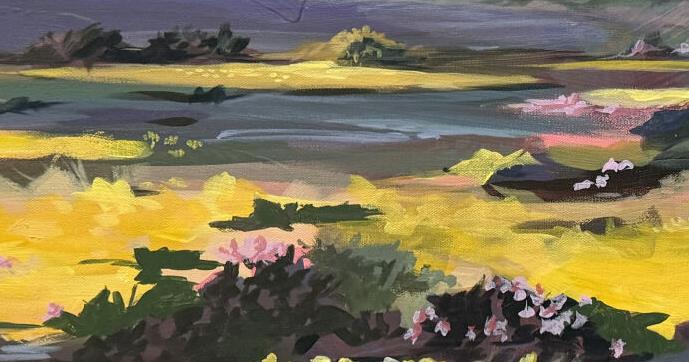 Seaweed, seascapes, and what we can’t see