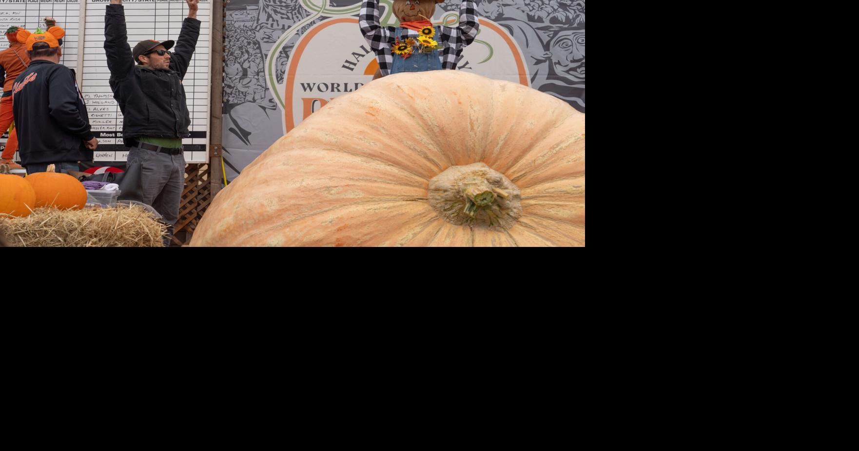 Competitive weigh-off brings out pumpkin fans | News | coastsidenews.com