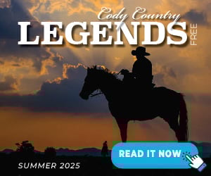 300x250 image ad advertisement