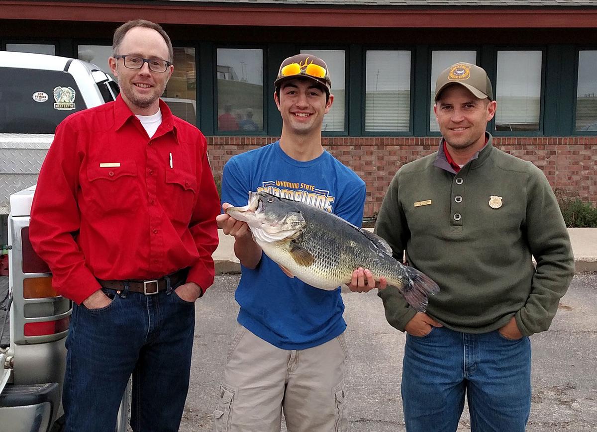 Recordbreaking catch 11.51lb largemouth bass stuns officials Local