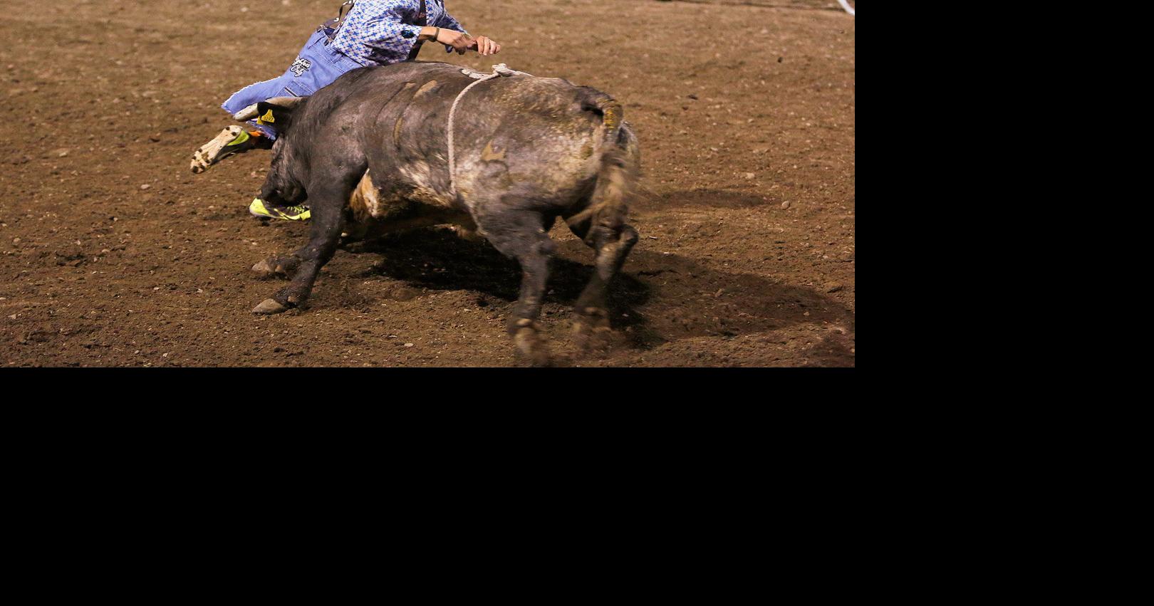Tuckness wins ninth straight Pro Rodeo Bullfighter of Year | Local News ...