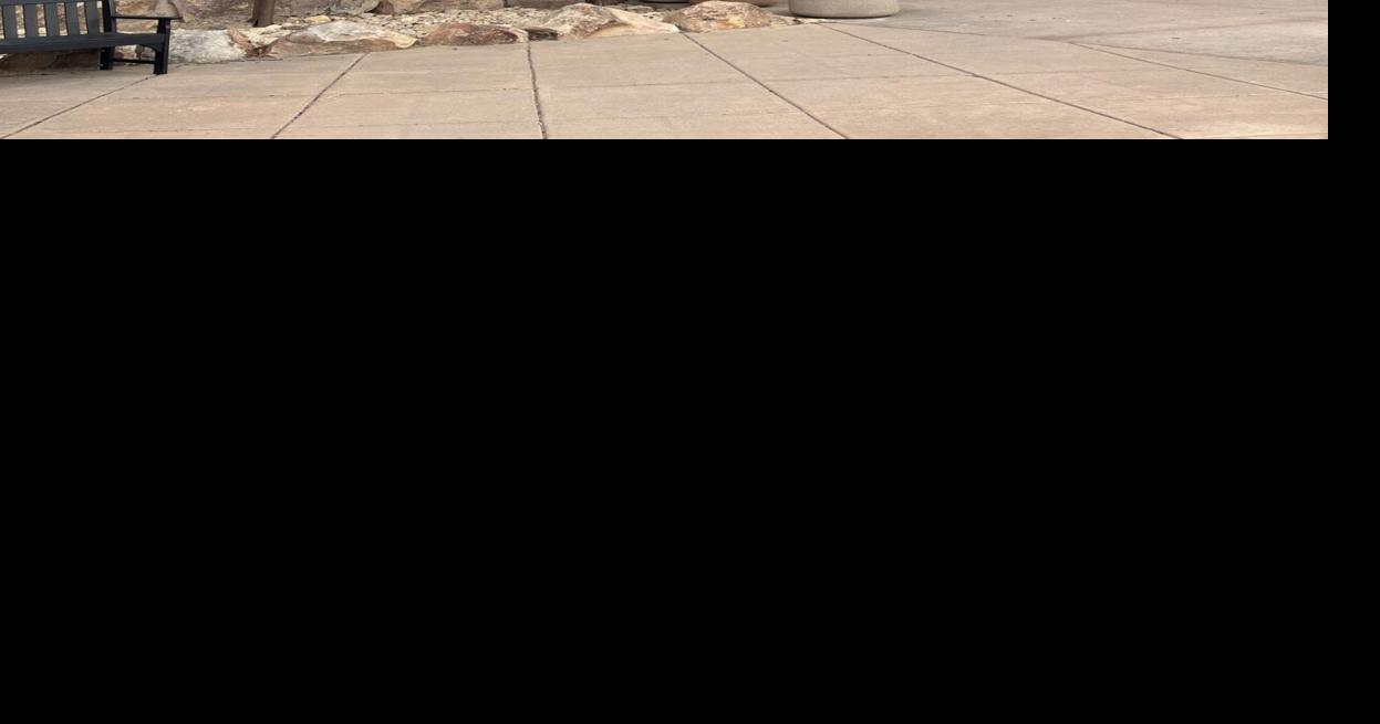 ‘America’s first extreme sport’: mounted buffalo hunting