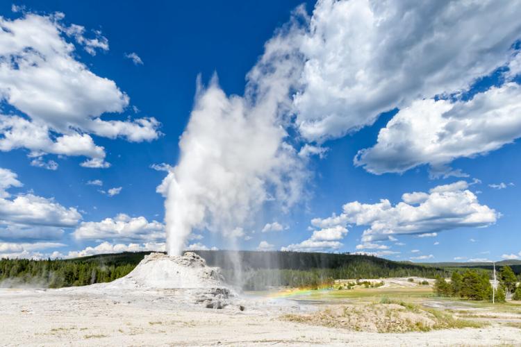 Royal eruption