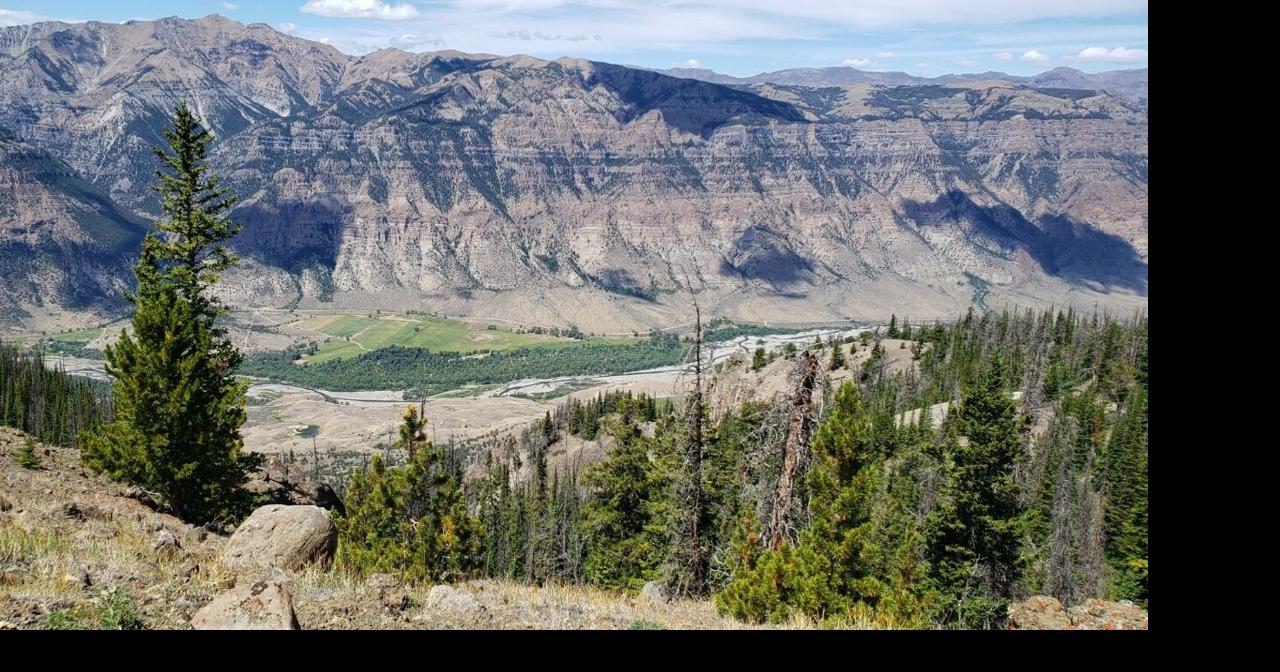 USFS seeks to hire 2,000 seasonal hands | Local News | codyenterprise.com