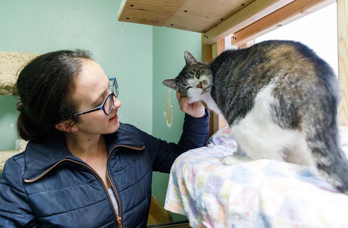 Cats Now Out Of Quarantine At Shelter Local News