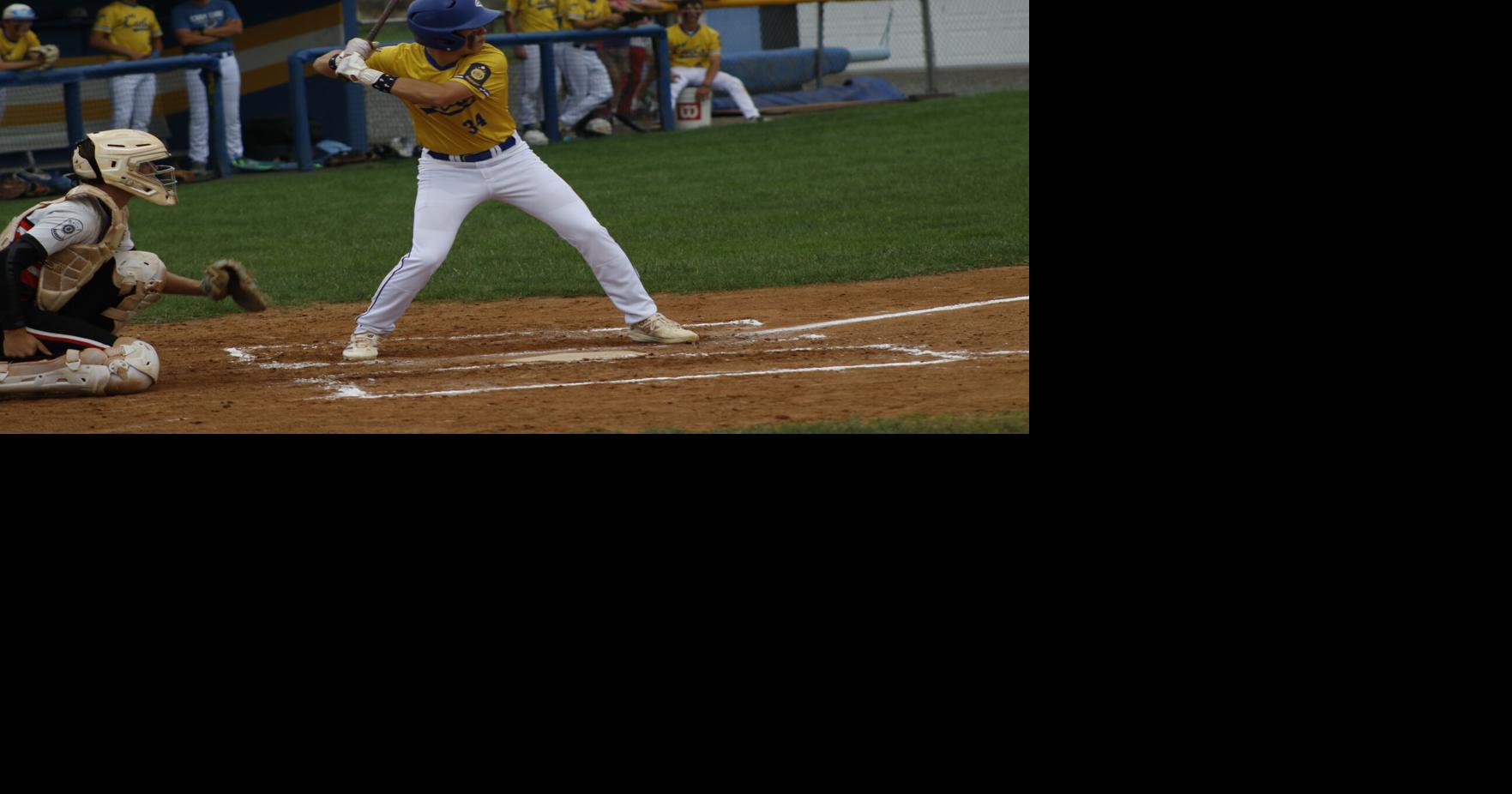 Cubs back in hunt for state championship