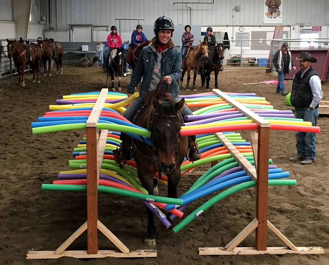 Prepping horses for Stampede Parade Local News