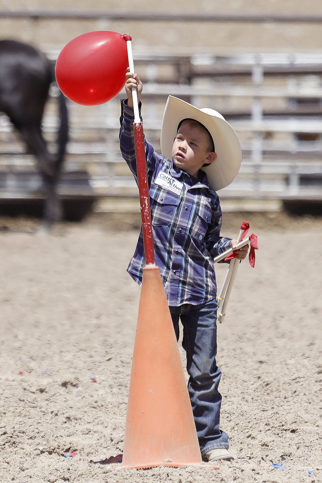 Photos Jake Clark's Mule Days