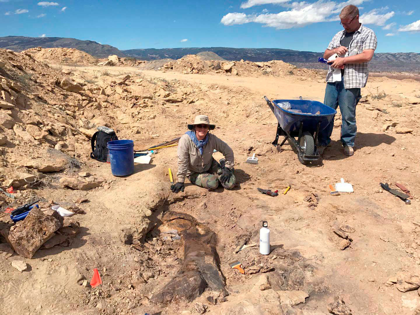 Treasure Trove Of Fossils Explored: Scientists Gather In Big Horn Basin ...