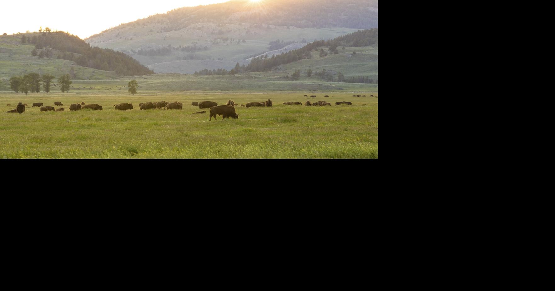 Trump nominates Delaware North exec to NPS