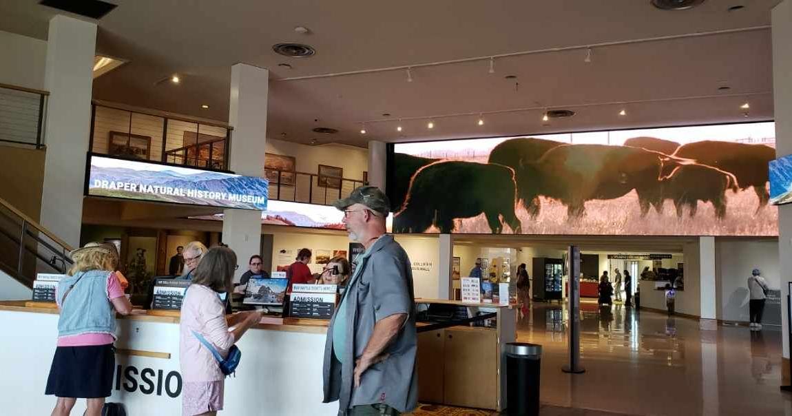 Buffalo roam across a new, hi-res video screen in Center of the West