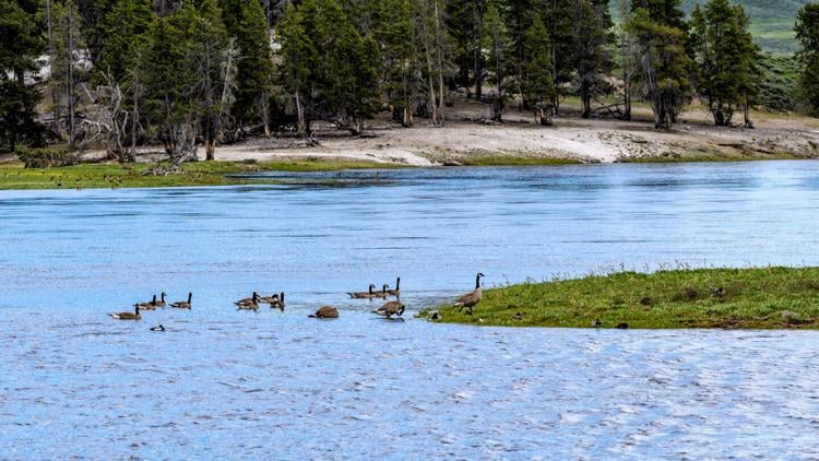 Almanac codyenterprise com