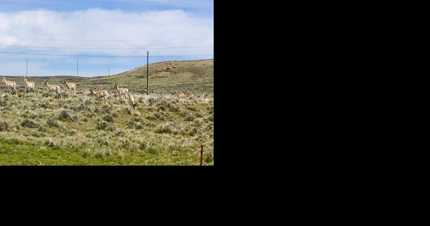 Cody Conservation District faces potential closure: Commissioners denied a Tuesday morning request by CCD supervisors for emergency funding, which may force the agency to cease operations – for now.