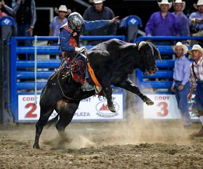 COLUMN: Fitzgerald continues bull riding career | Sports ...