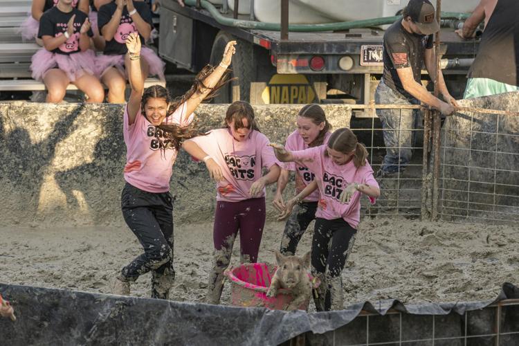 Pig wrestling