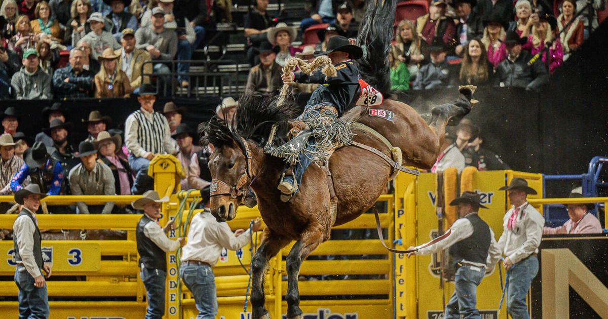 Wells has good run at NFR | Sports | codyenterprise.com