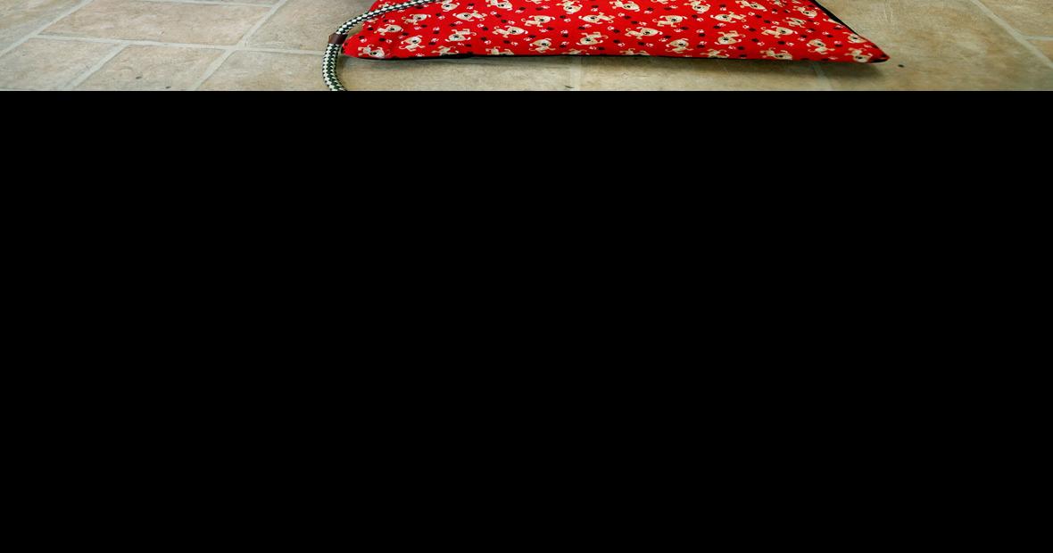 Donating dog beds to the shelter People