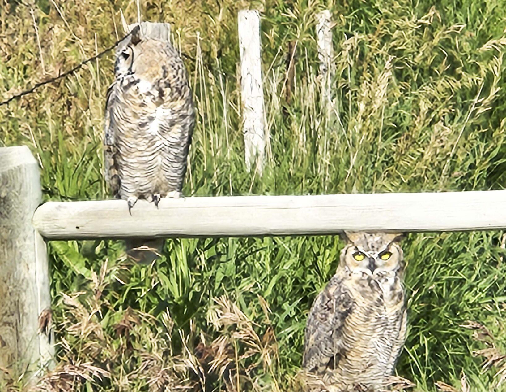 Almanac codyenterprise com