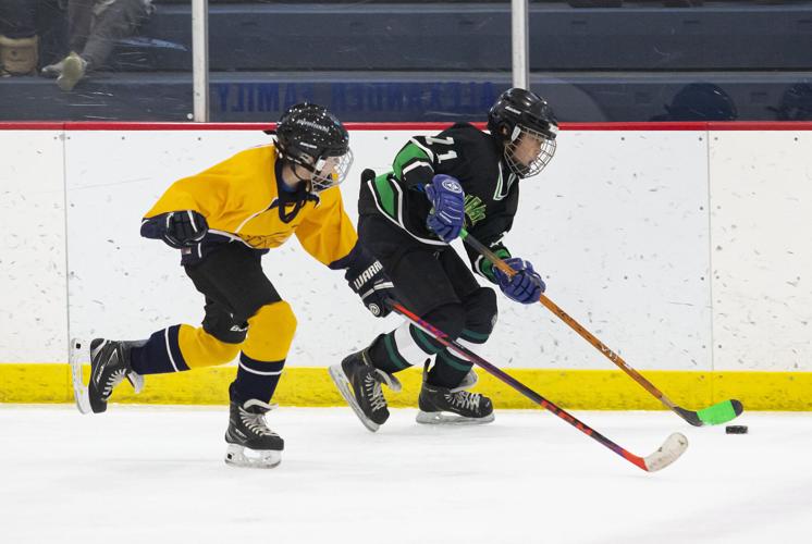 12U Ice Cats finish second at state tourney Sports codyenterprise