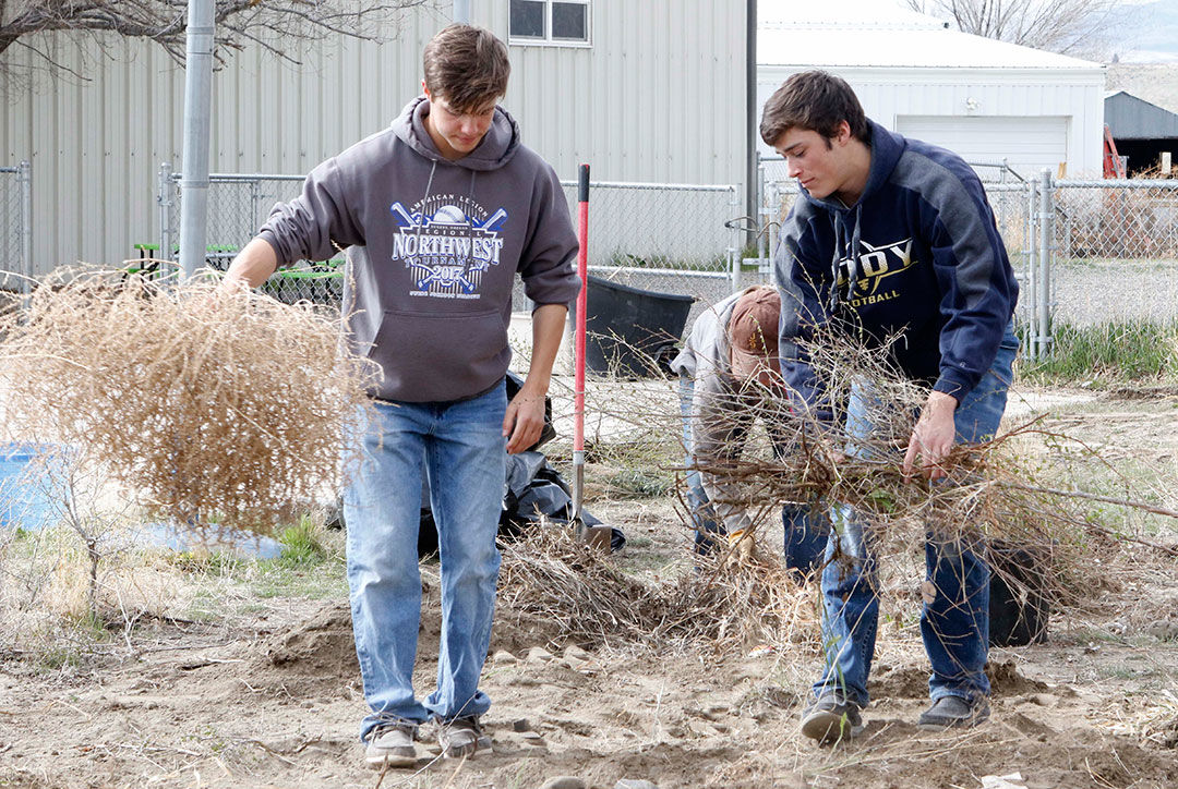 Gardening From The Heart Youths Collaborate On Health Focused
