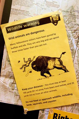 Safety focus of new Park warning fliers