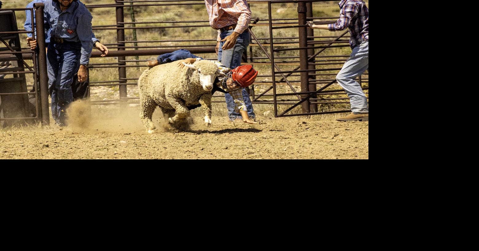 Clark Rodeo raises $4k for rec center | People | codyenterprise.com