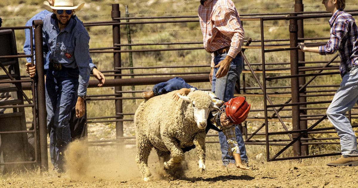 Rec It Rodeo Clark Rodeo raises $4k for rec center | People | codyenterprise.com
