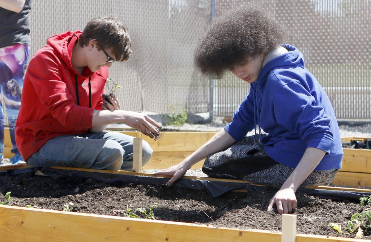 Gardening From The Heart Youths Collaborate On Health Focused