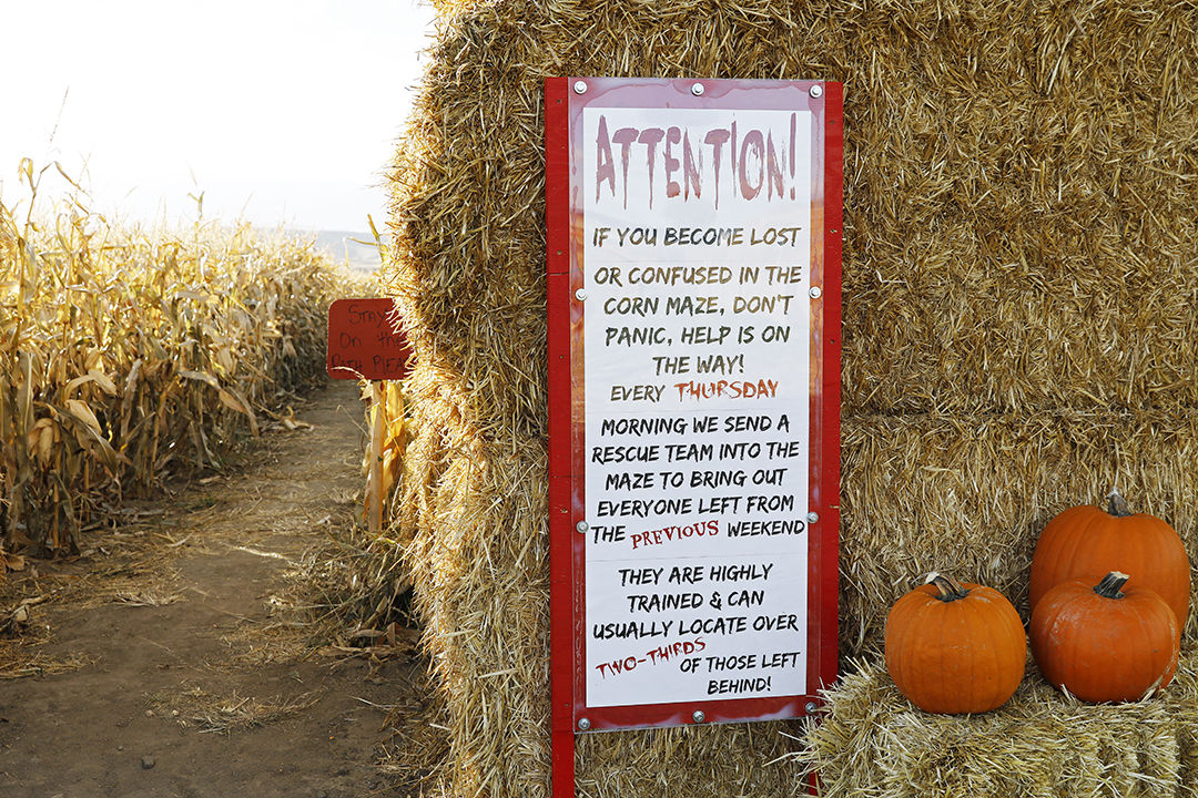 Gallagher's Corn Maze and Pumpkin Patch Local News