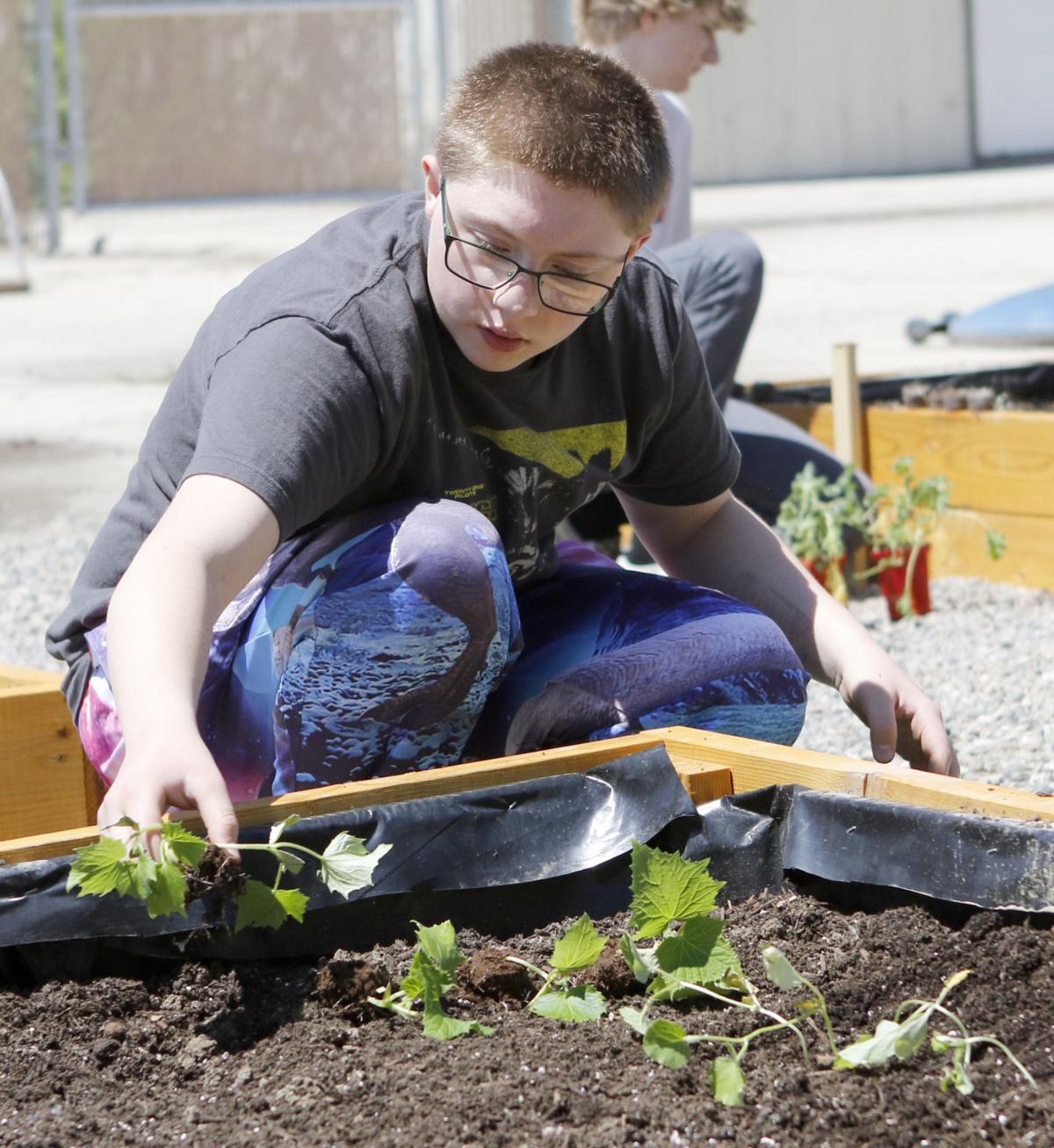 Gardening From The Heart Youths Collaborate On Health Focused