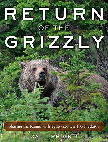 Saga of the world's most famous grizzly 