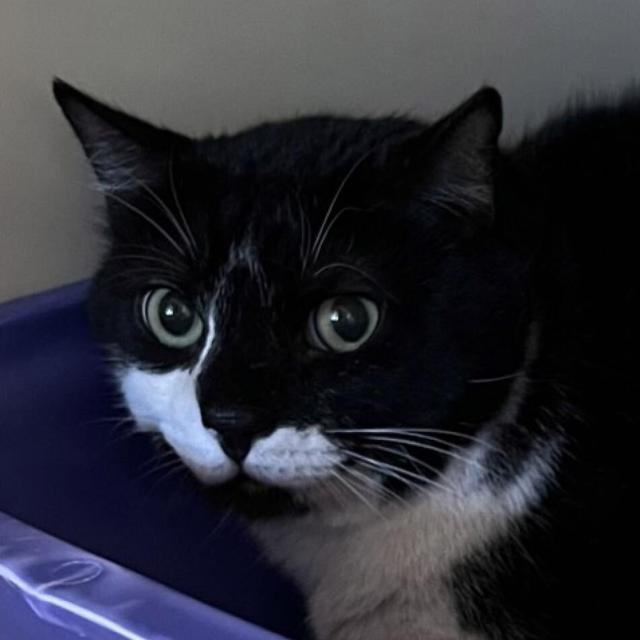 Almanac codyenterprise com