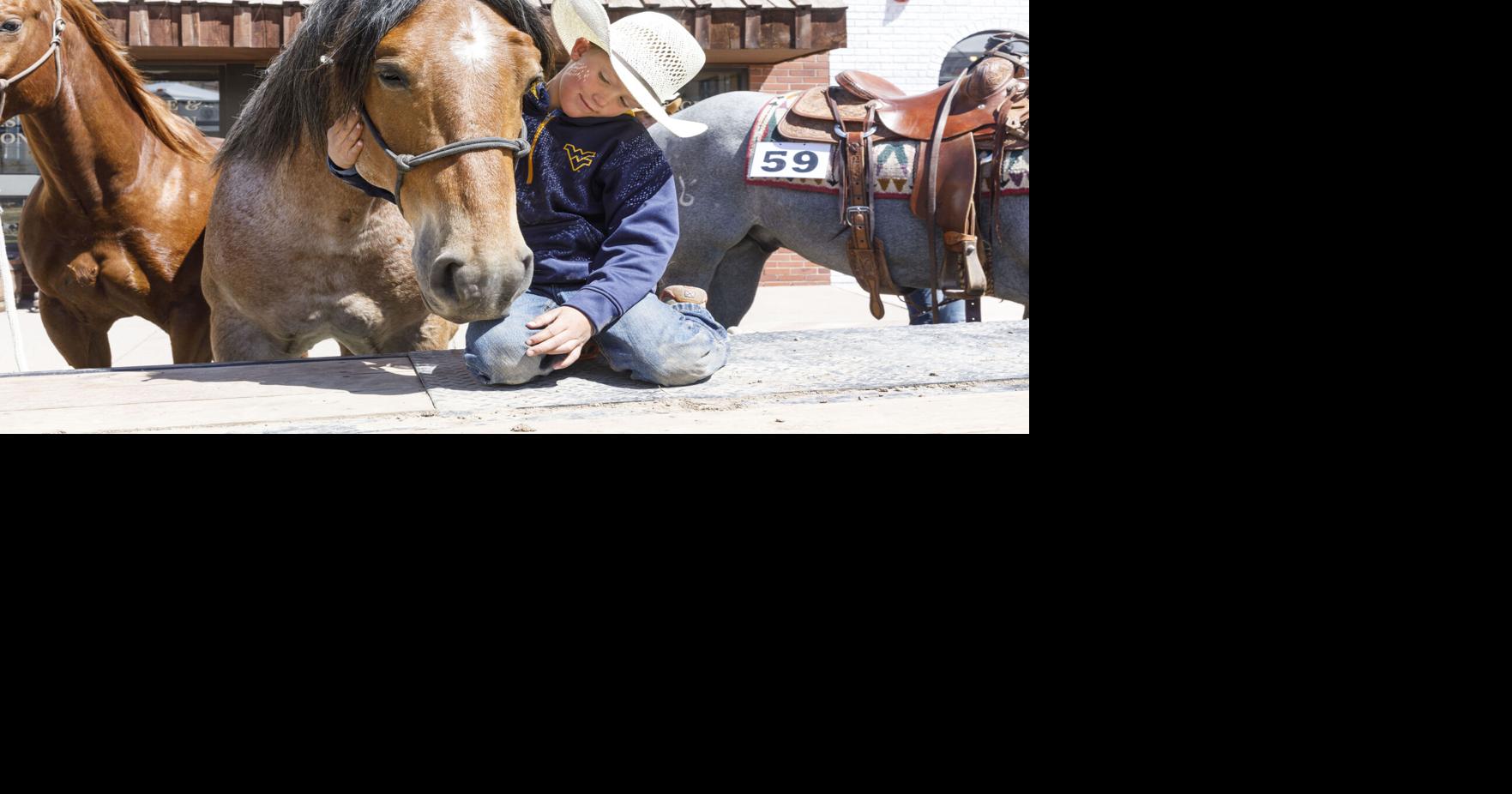 Horse sale 2021 Local News